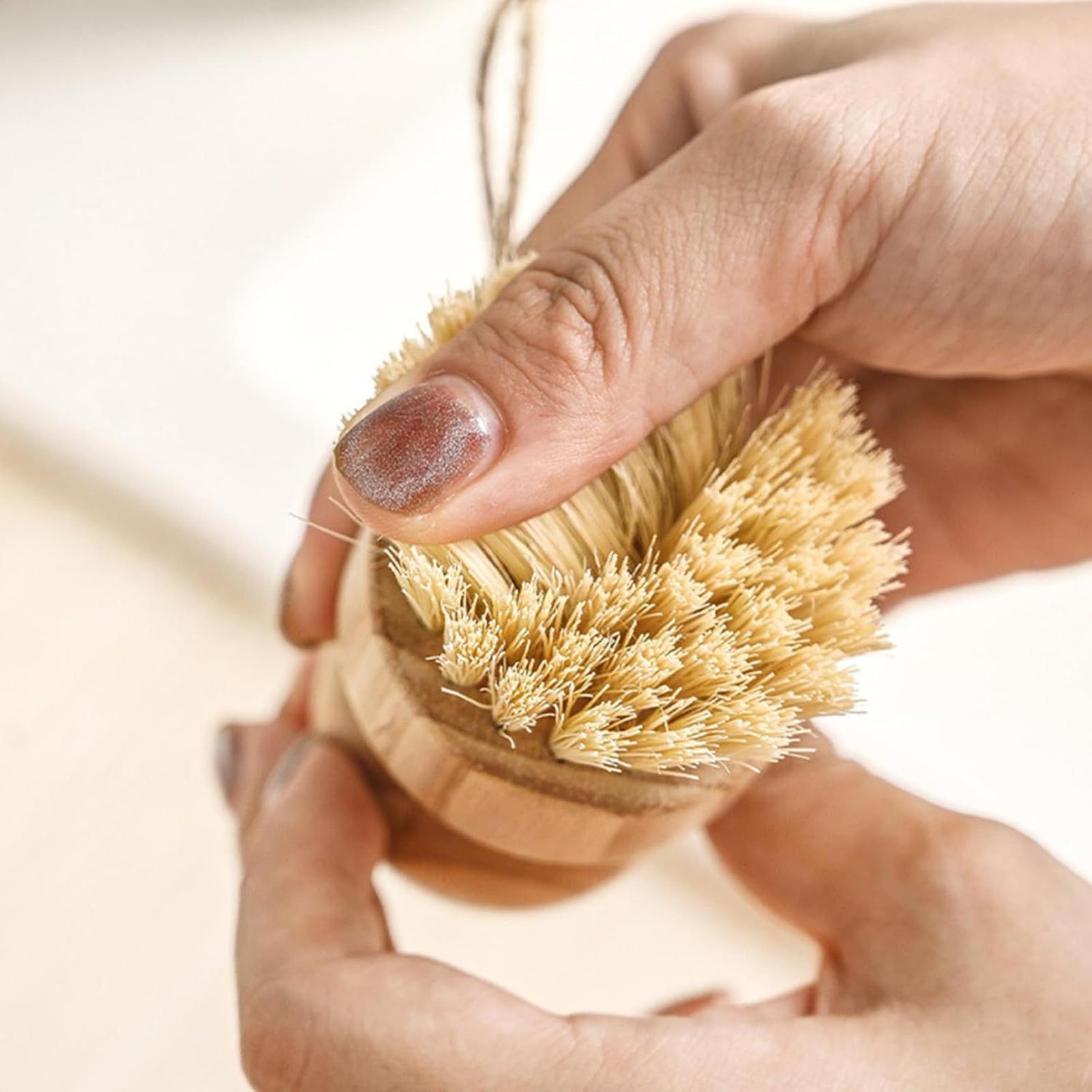 Wooden Kitchen Cleaning Brush  - đánh giá và giá Dish Brush Bamboo